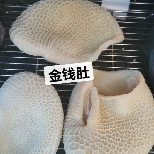 產(chǎn)地直銷(xiāo)金錢(qián)肚牛肚