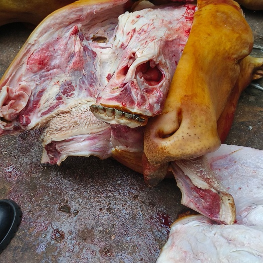 昆明牛头 去骨  带牛舌  新鲜