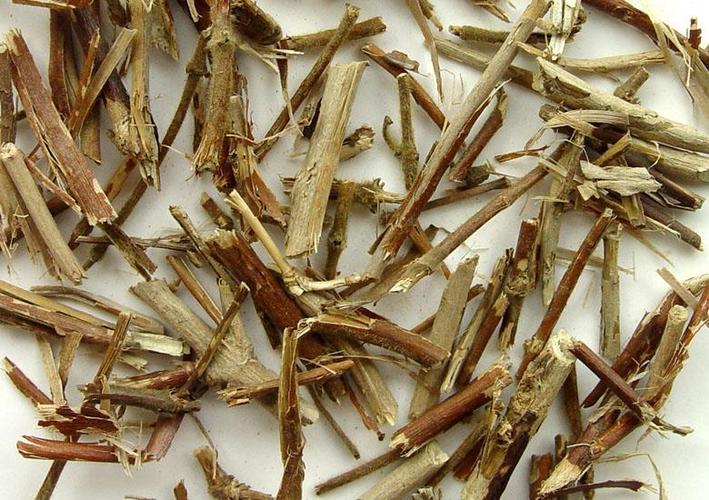 忍冬凉茶