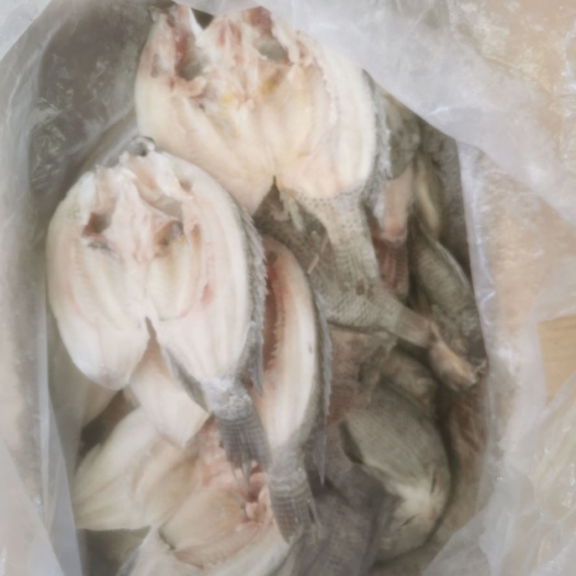 罗非鱼开背鱼