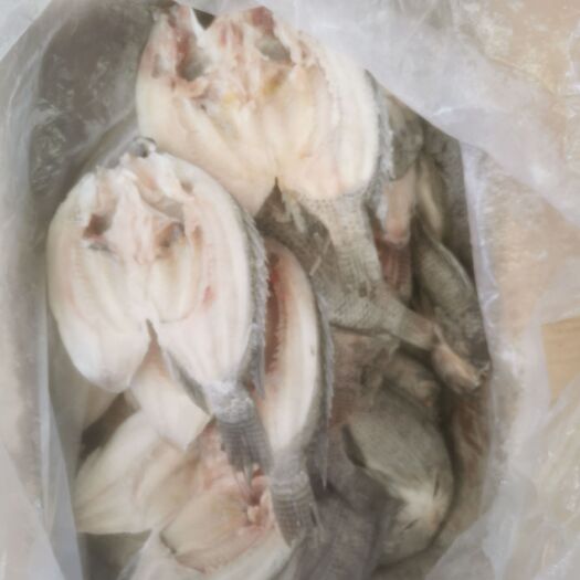 东莞市罗非鱼开背鱼