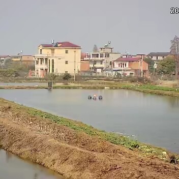 南昌县草鱼苗