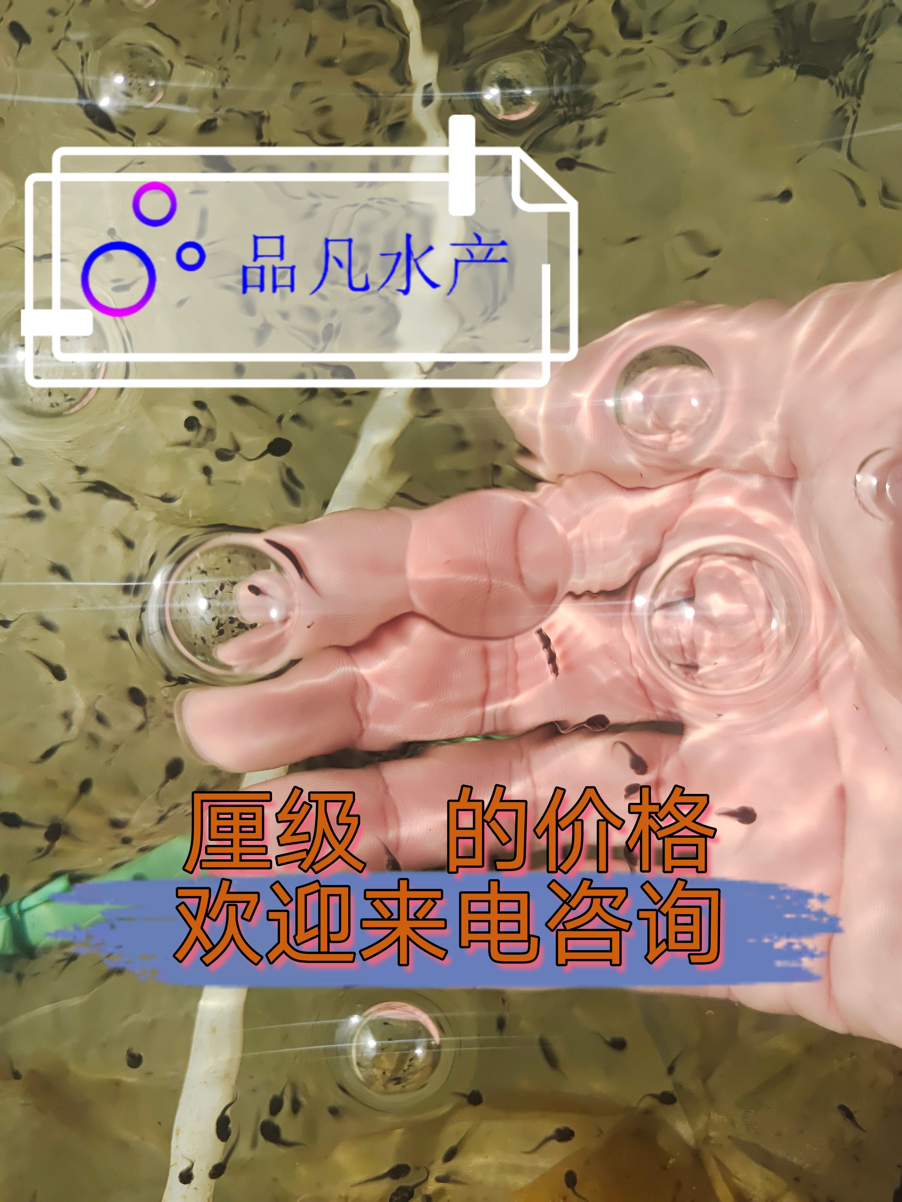 ï㶫ʡï糡ţ