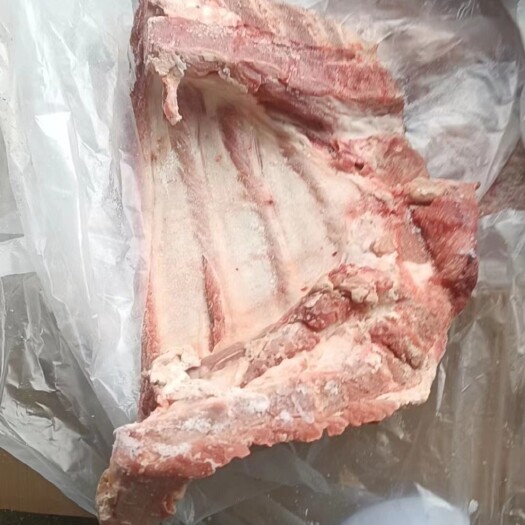 商丘母猪去颈前排26吨，河南提15500