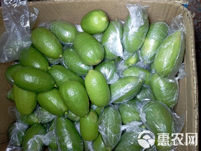 广西四季香水柠檬无籽子弹头香味浓郁皮薄多汁冷饮包邮