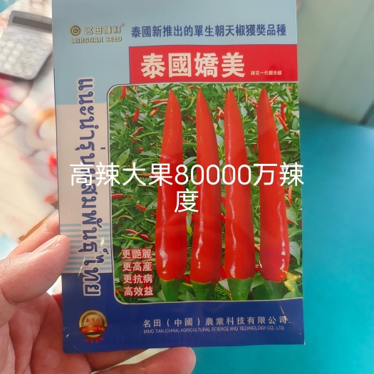扶沟县泰国娇美朝天椒种子大果形耐热耐湿结果多10厘米辣味重
