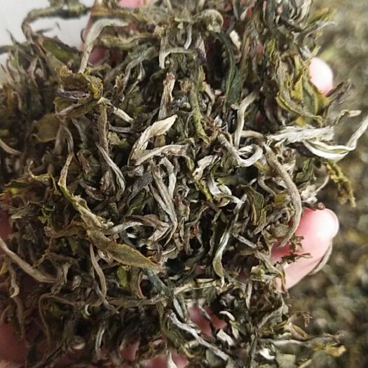 西盟县高山绿茶