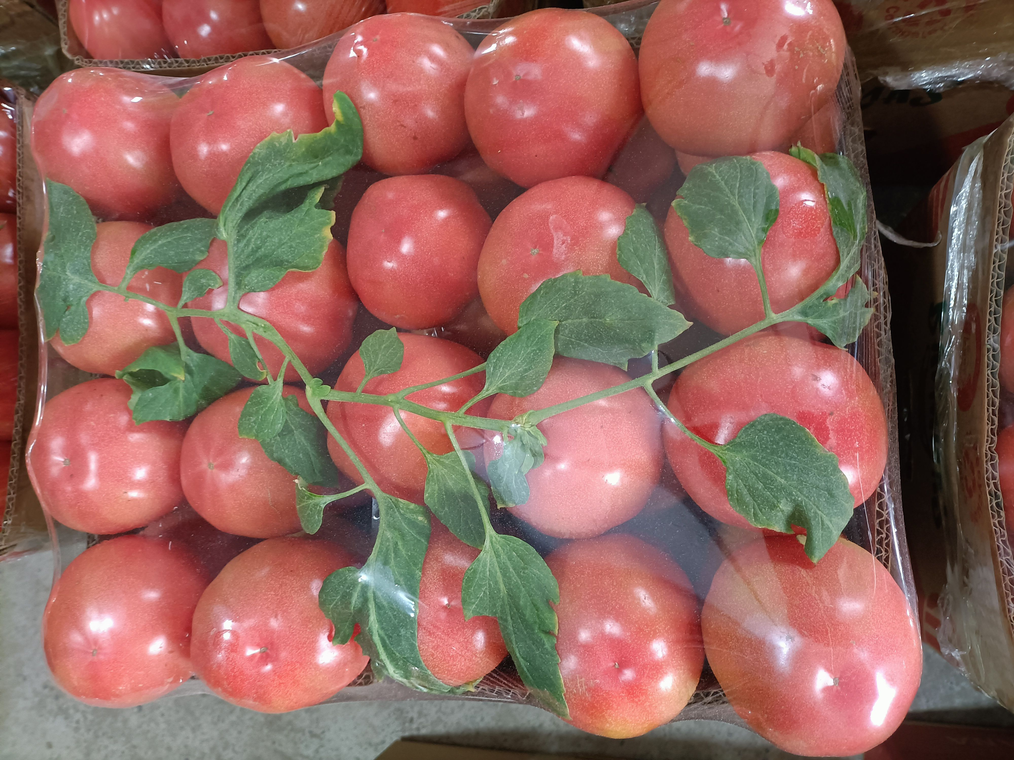 水分足   沙瓤     酸甜可口