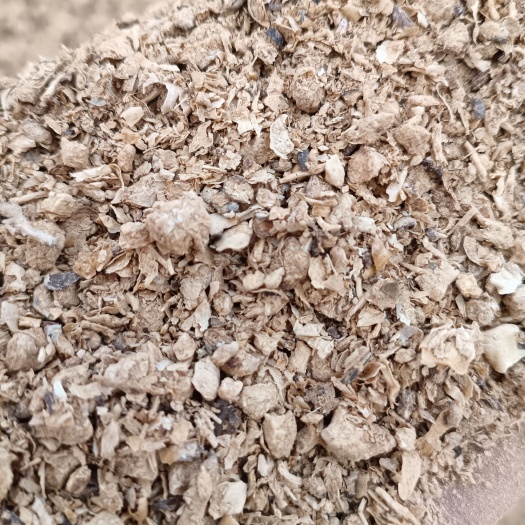 济宁金针菇干渣料