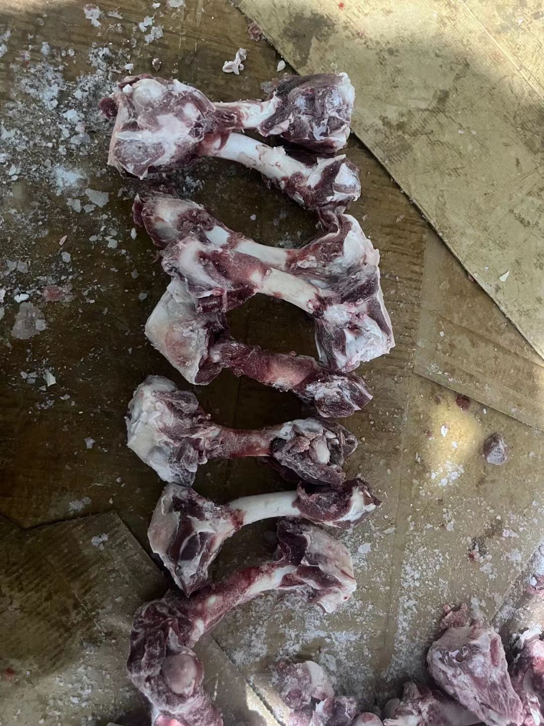 羔羊加肉后腿骨