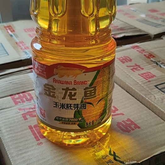 浚县金龙鱼玉米胚芽食用油非转基因