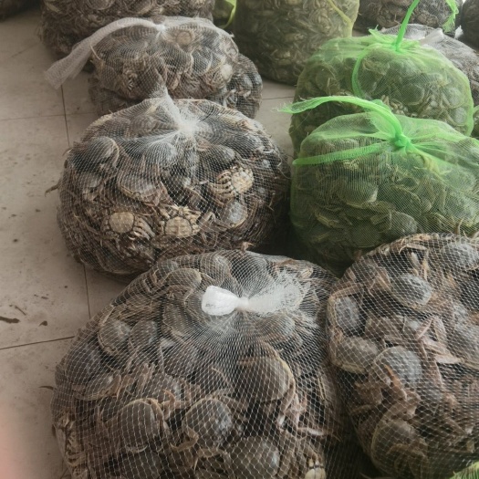 当涂县小老蟹质量饱满