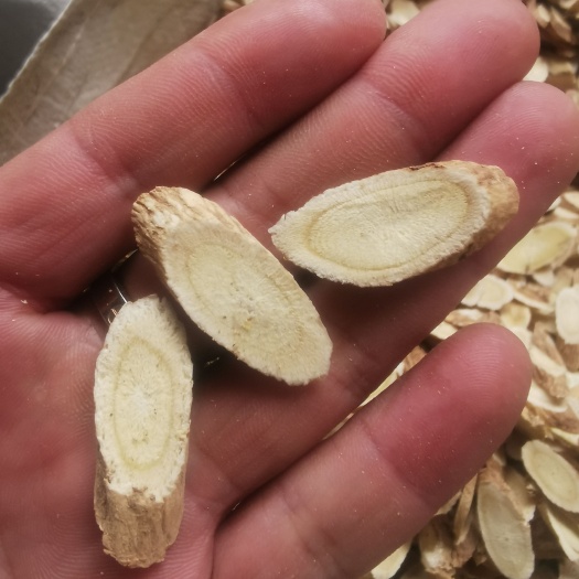 精品黄芪瓜子片