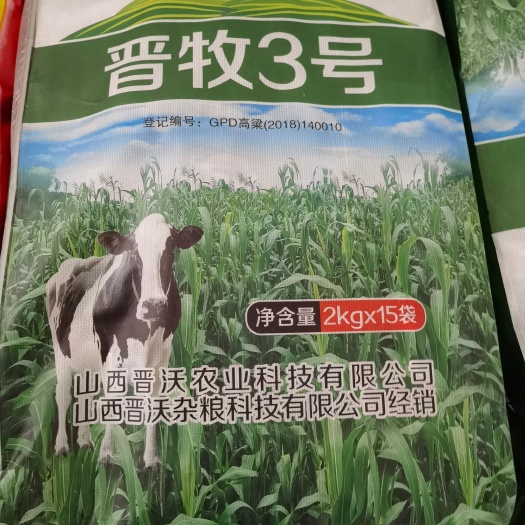 牧草高粱种子！青储、鲜草兼用