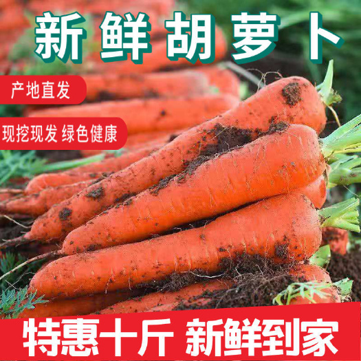 大荔县【秤杆胡萝卜】陕西主产区胡萝卜，万亩基地常年供应，欢迎对接