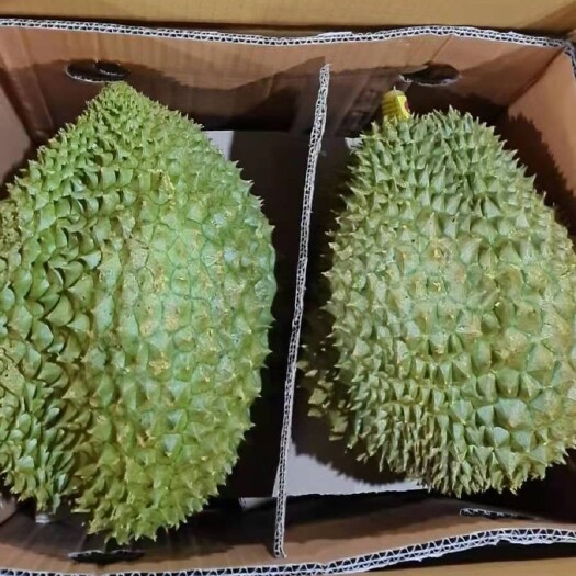 凭祥市越南3级金枕榴莲
