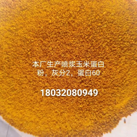石家庄玉米蛋白粉，蛋白60，灰分2