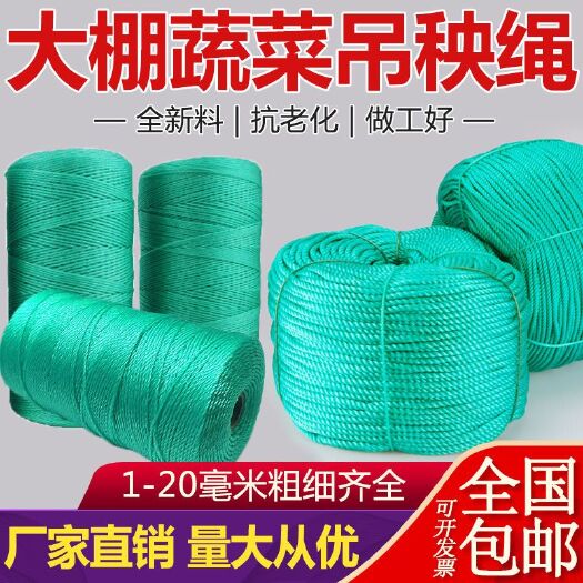 无棣县大棚吊绳吊秧绳大棚吊秧绳吊蔓绳丙烯绳尼龙瓜果蔬菜爬藤网黄瓜
