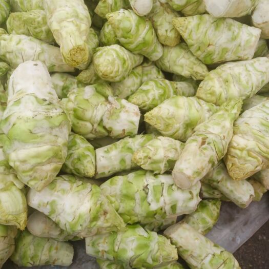 重庆市无儿菜  不苦  不空心 可炒，可烫，可腌制