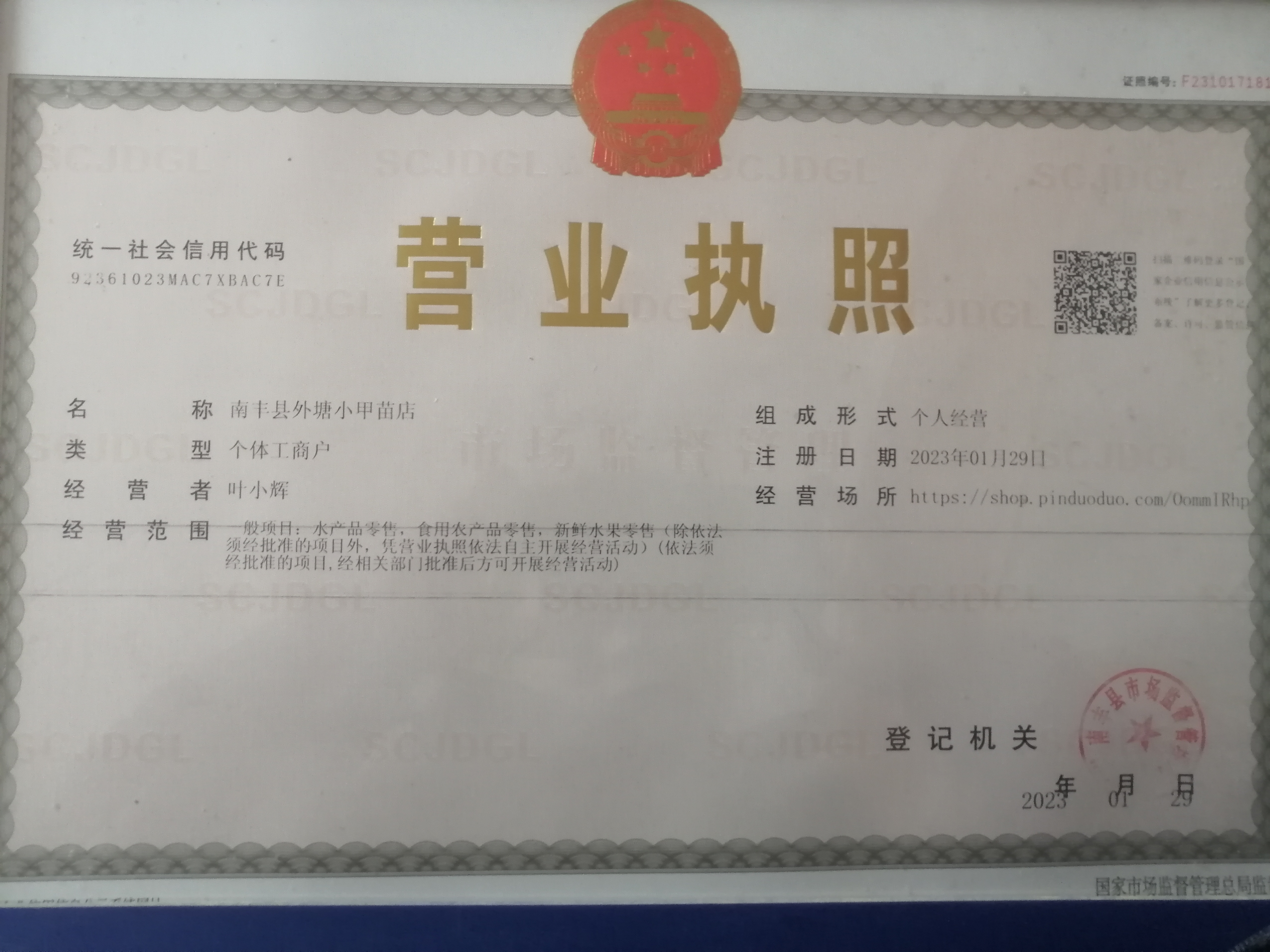 小葉龜鱉養(yǎng)殖基地
