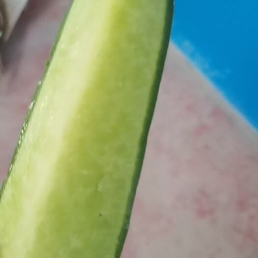 寿光市潍坊水果萝卜
