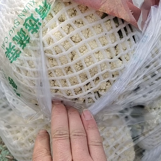 邯郸菜花，支持，超市，市场，电商，平台，食堂，加工厂。