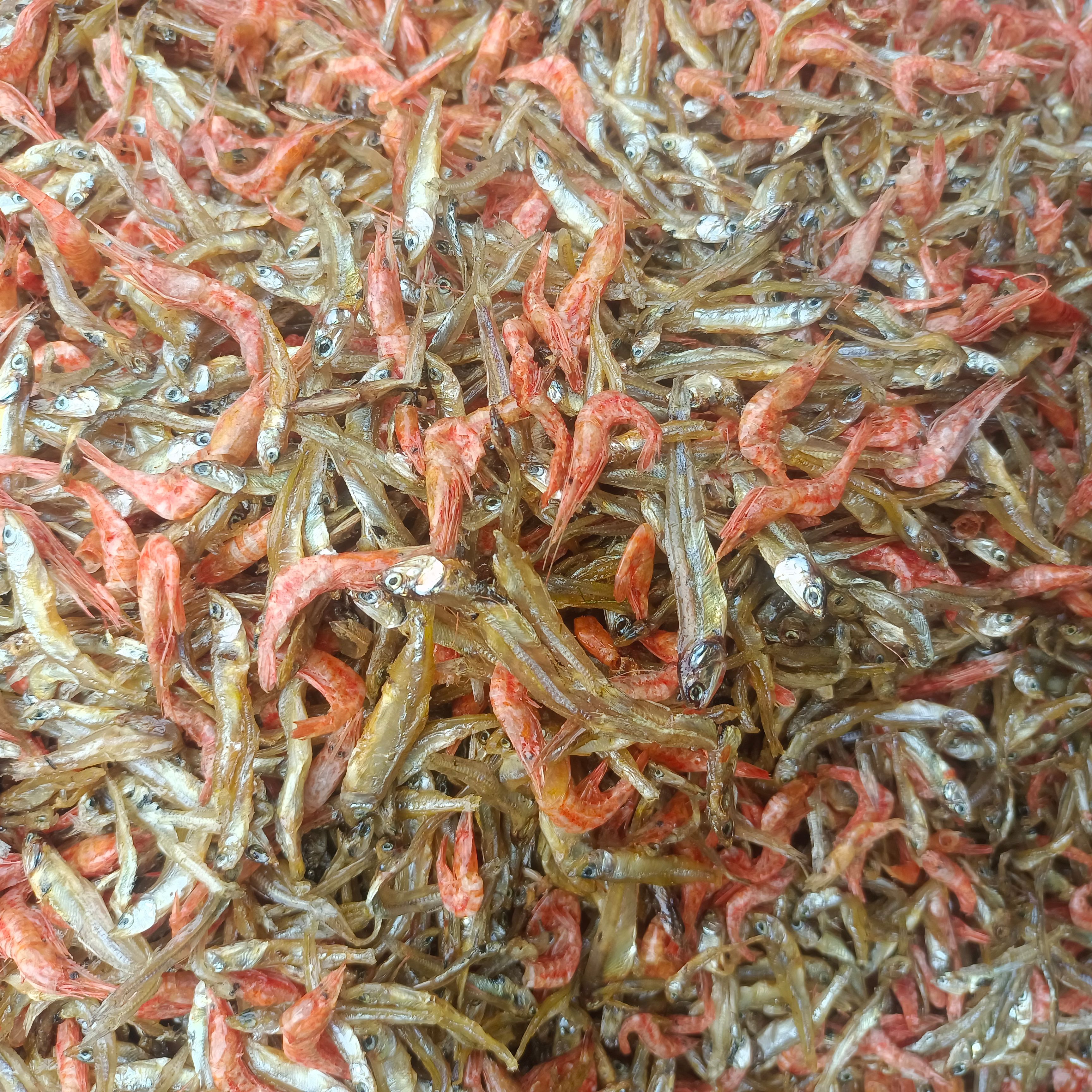 湖南小鱼小虾 鱼干干虾 电商平台食堂饭店散装批发零售一手货源
