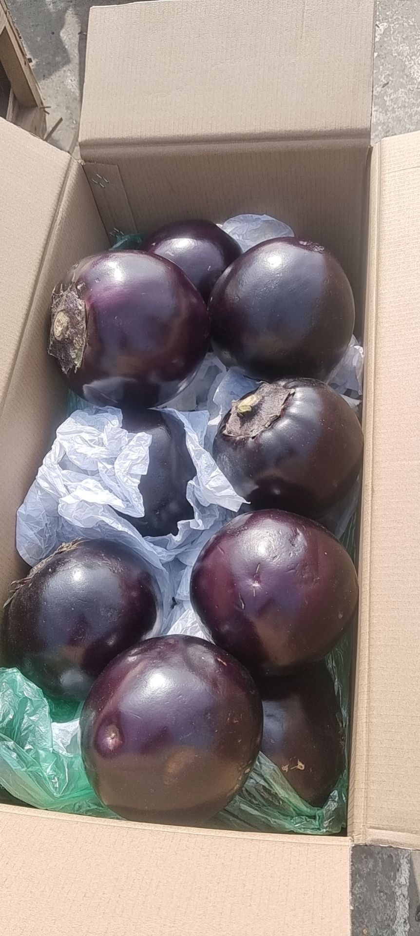 圆茄，支持，超市，市场，电商，平台，食堂