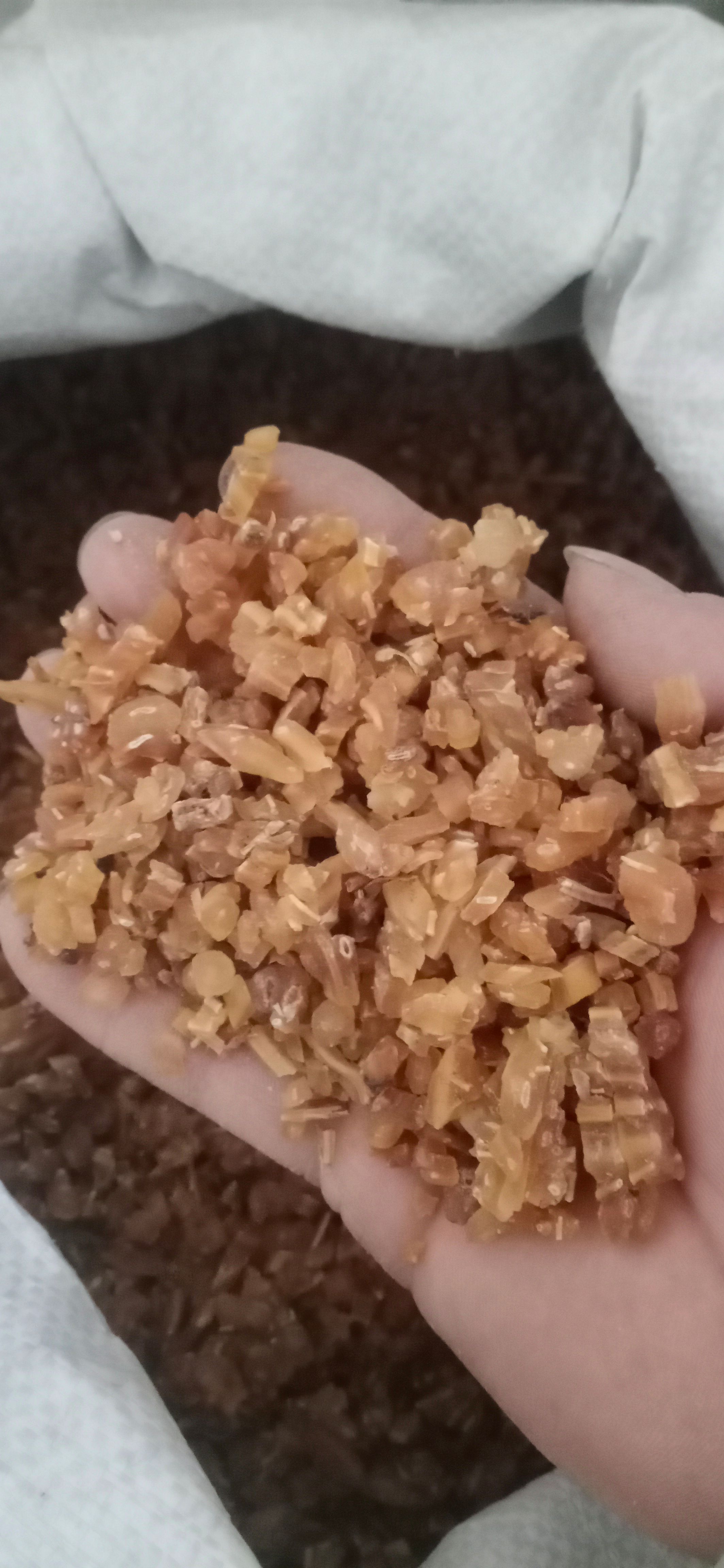 【天冬】产地.贵州一手货源大货供应.规格齐全量大优惠