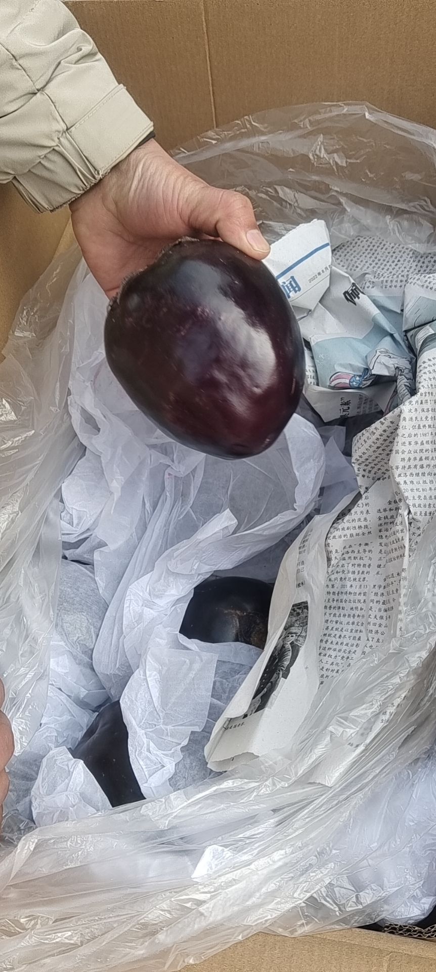 圆茄，支持，超市，市场，电商，平台，食堂