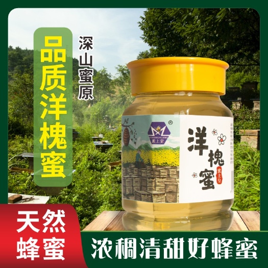 阜阳新店开业（拍二送一同款 ）野生一级洋槐蜂蜜一斤装原蜜自然成熟