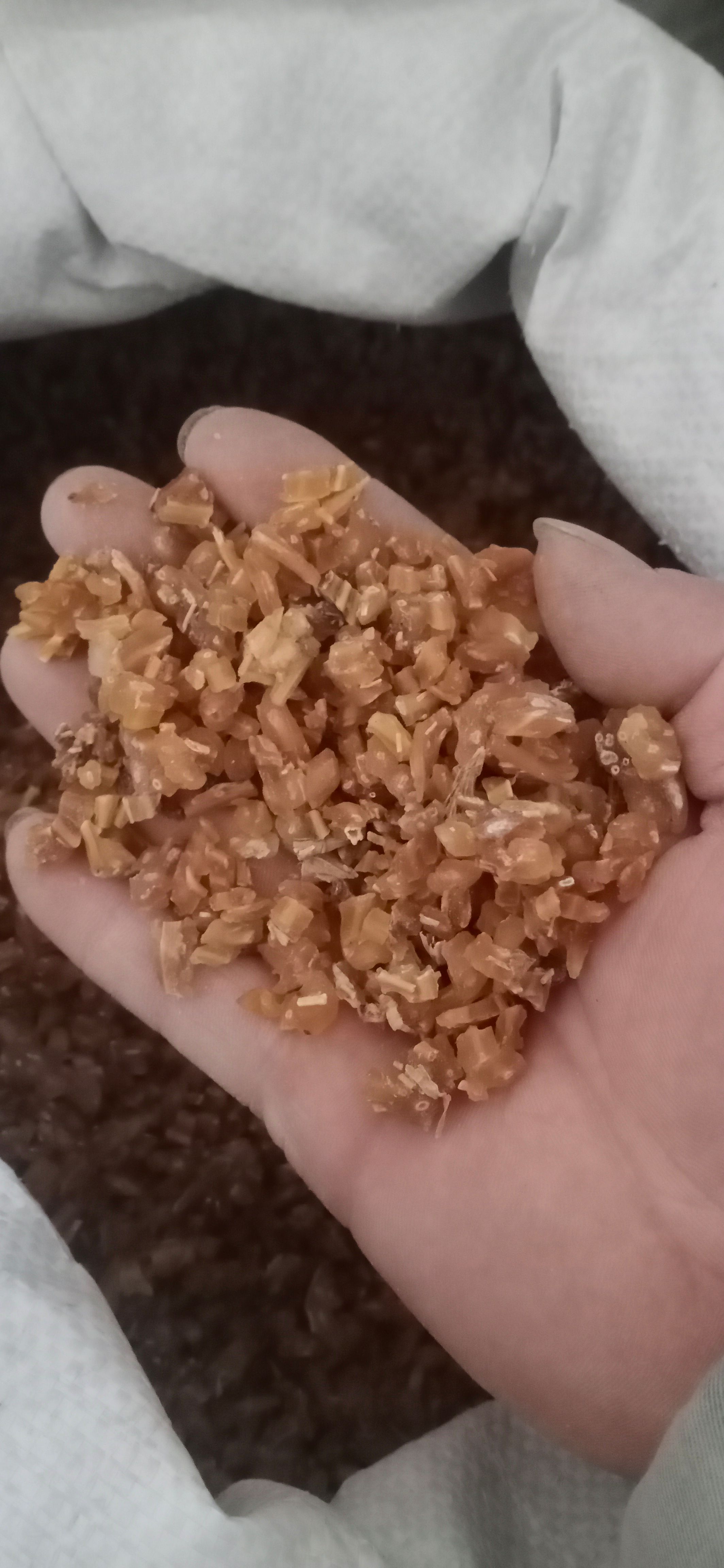 【天冬】产地.贵州一手货源大货供应.规格齐全量大优惠