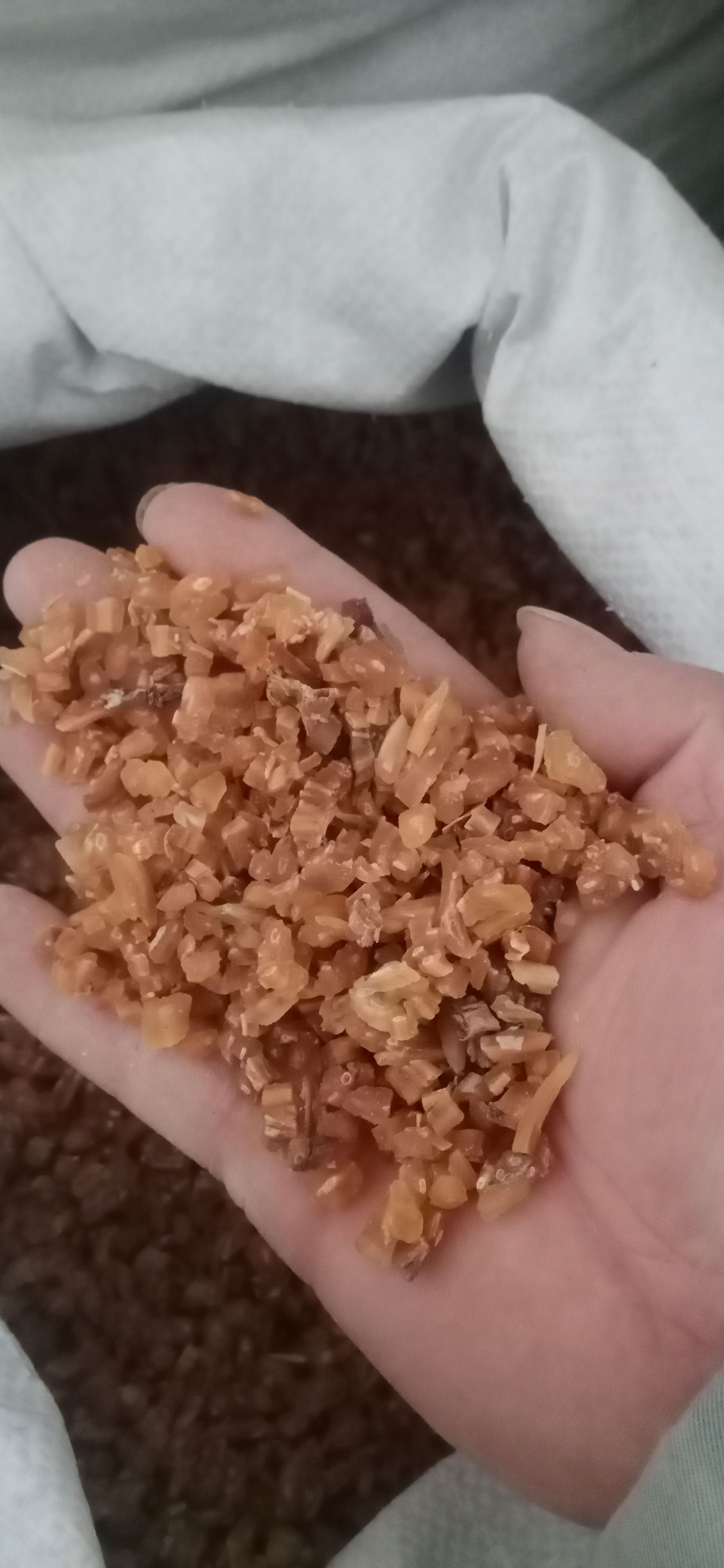 【天冬】产地.贵州一手货源大货供应.规格齐全量大优惠