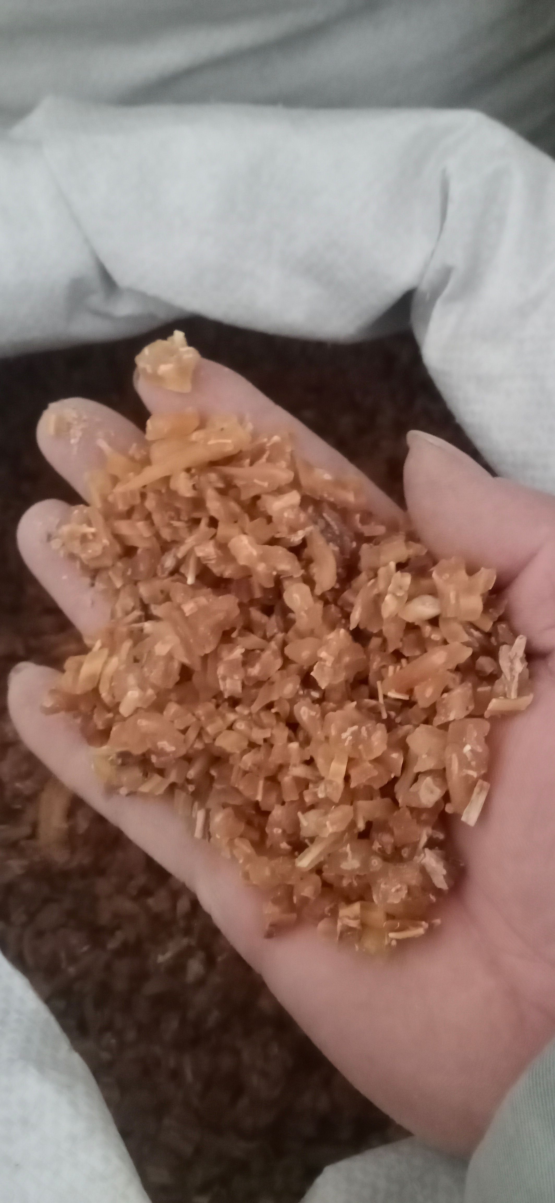 【天冬】产地.贵州一手货源大货供应.规格齐全量大优惠