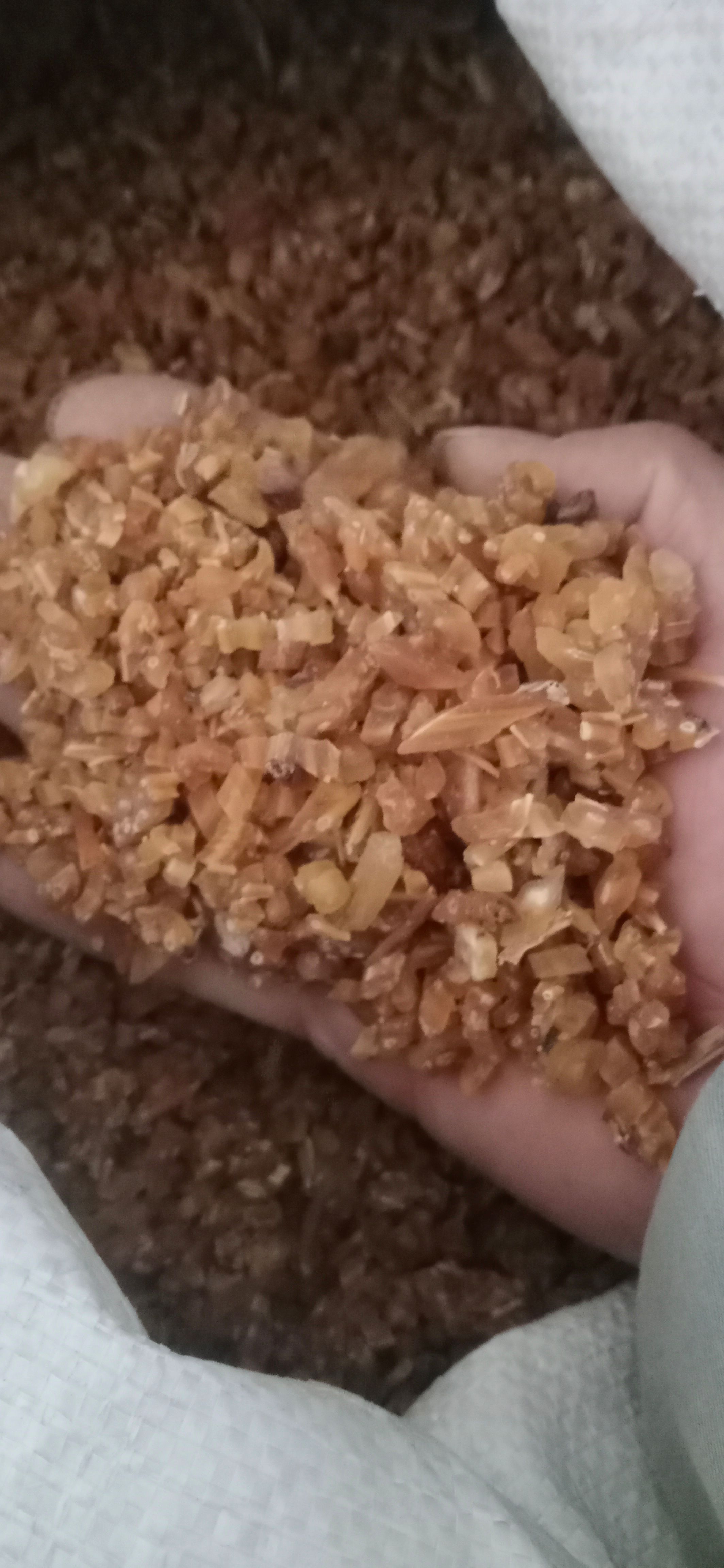 【天冬】产地.贵州一手货源大货供应.规格齐全量大优惠