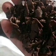 田东县本地黑茶麸