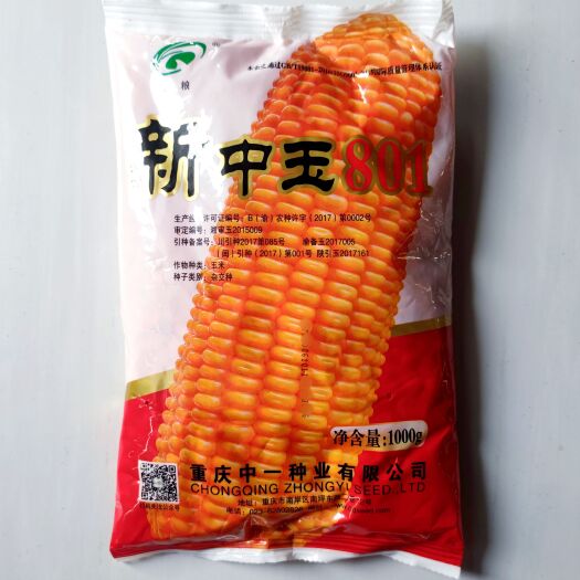 武汉重庆中一种业 新中玉801玉米种子 高 产 纯度高1千克