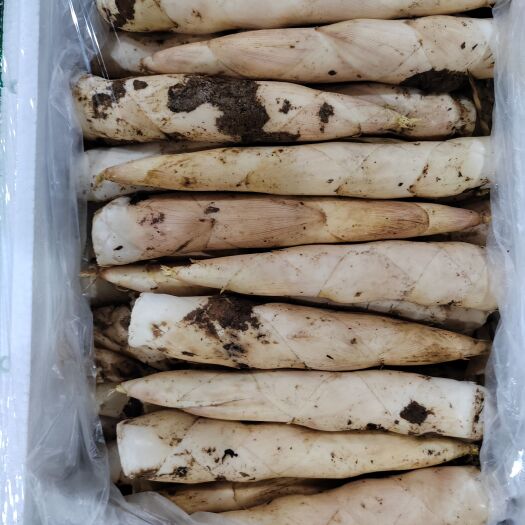 杭州春笋，各种规格，各个产地应有尽有。货源充足稳定，有规模才有品