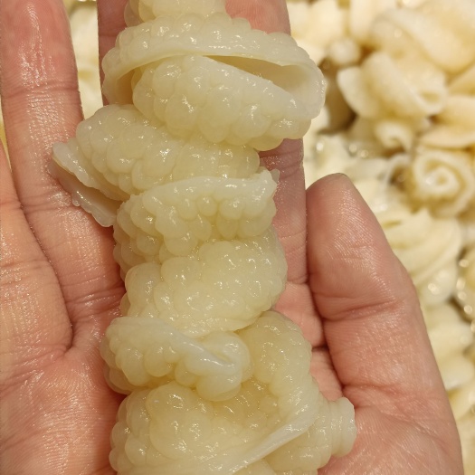 鱼肚鱼肠