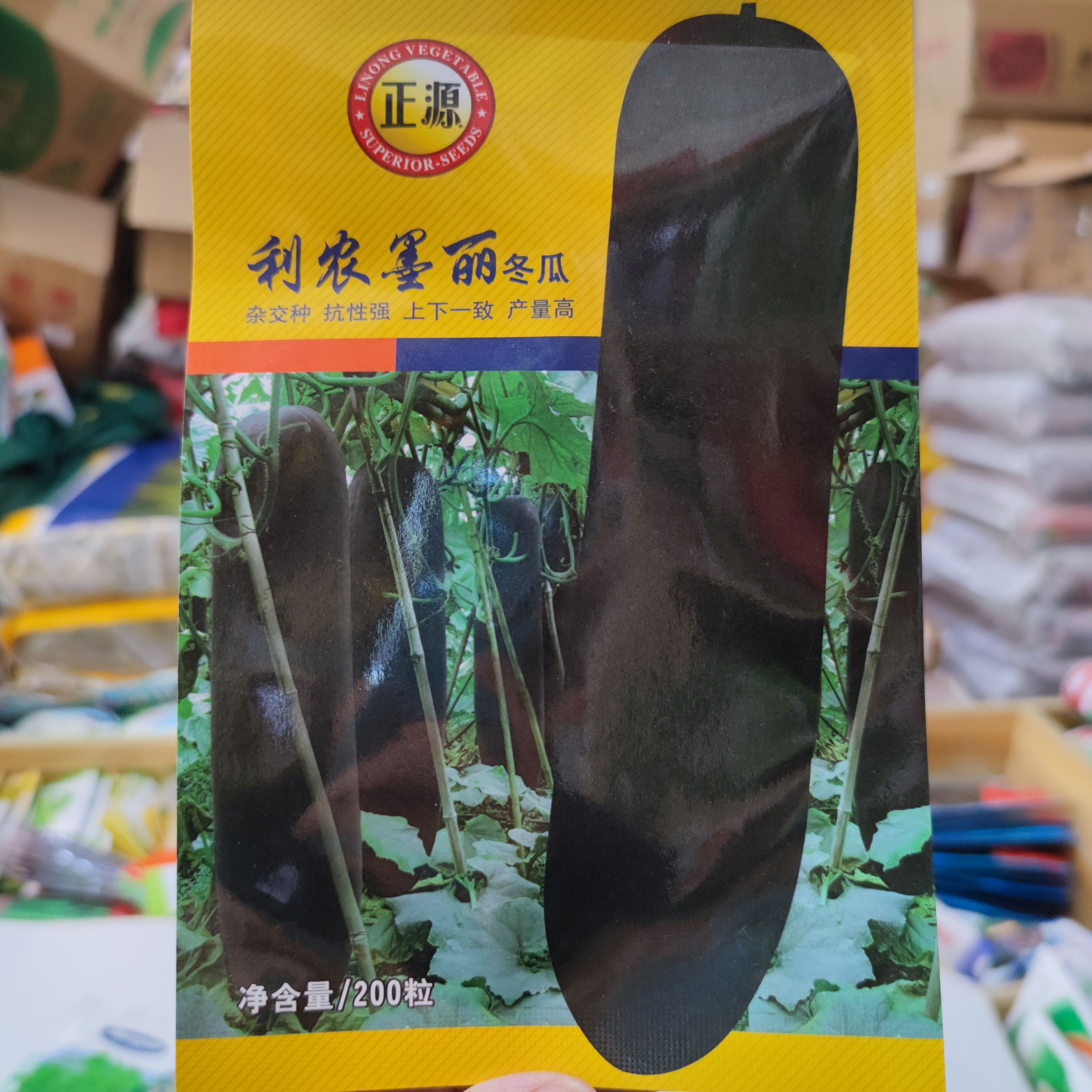 正源利農(nóng)墨麗冬瓜種子中熟黑皮冬瓜抗性強耐貯運原裝正品200粒