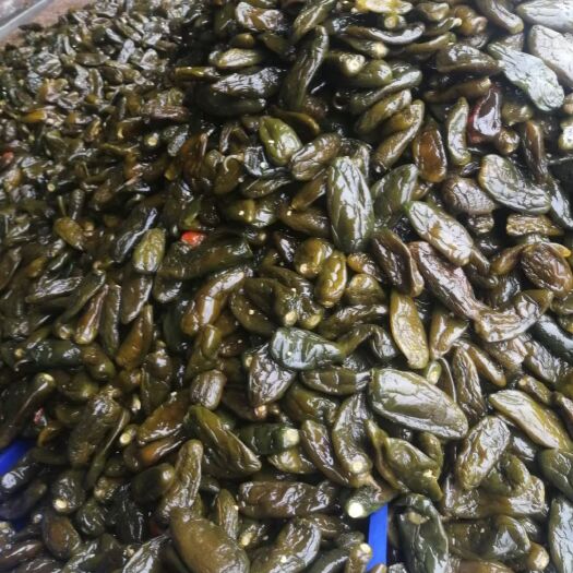 丰县泡椒  腌制港椒，半成品港椒  可代加工产品