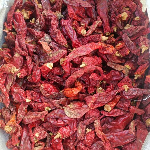 博湖县新疆沙湾特色米粉椒，味道鲜美，是做米粉酱、火锅底料的上好选择