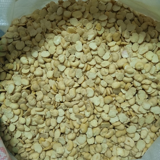 天津张家口蚕豆瓣