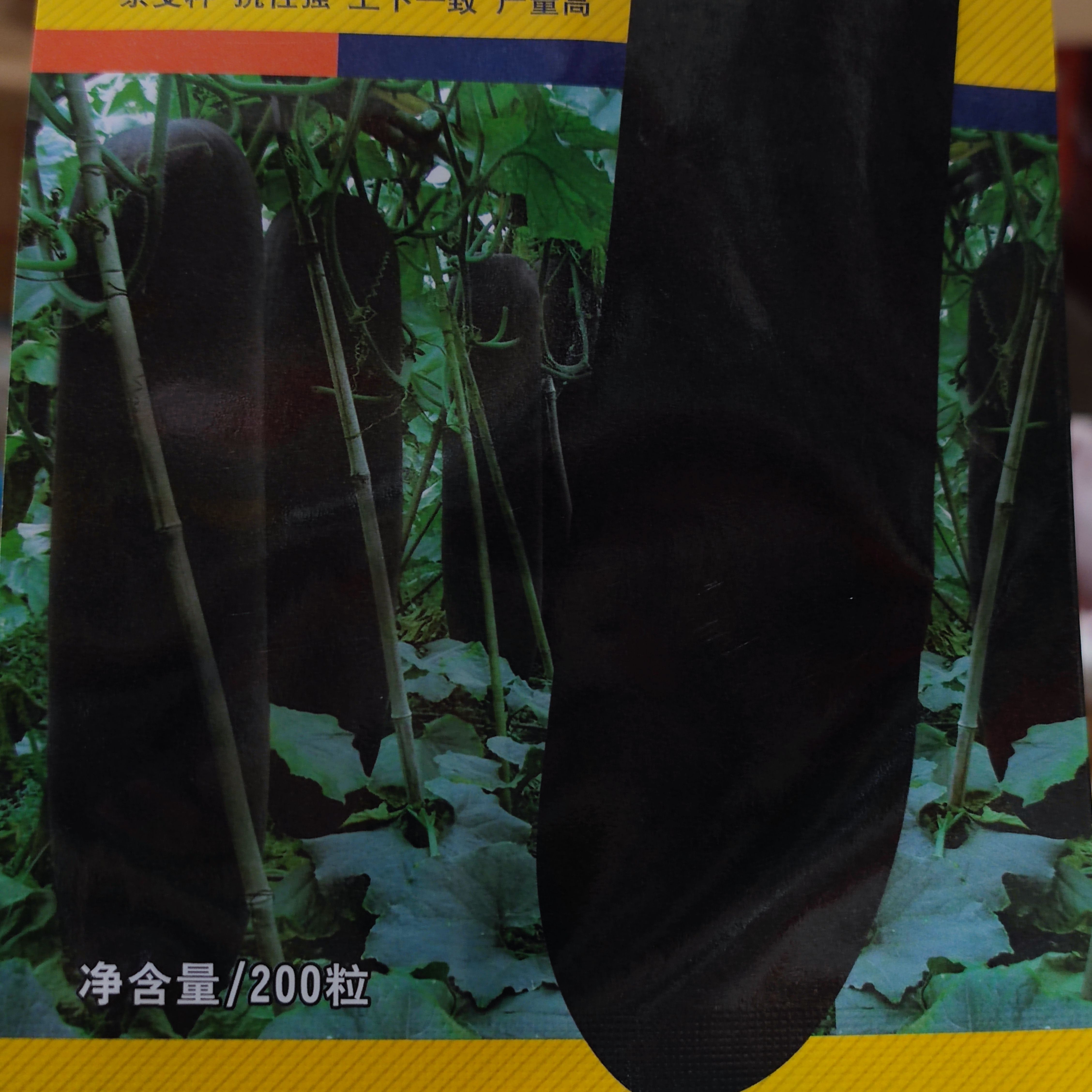 正源利農(nóng)墨麗冬瓜種子中熟黑皮冬瓜抗性強耐貯運原裝正品200粒