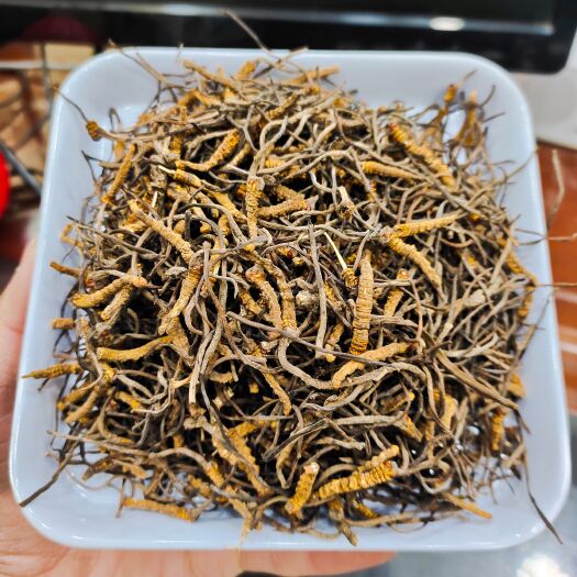 西宁【断虫草】祁连山二级小断草碎草泡酒料打粉料炖汤泡酒