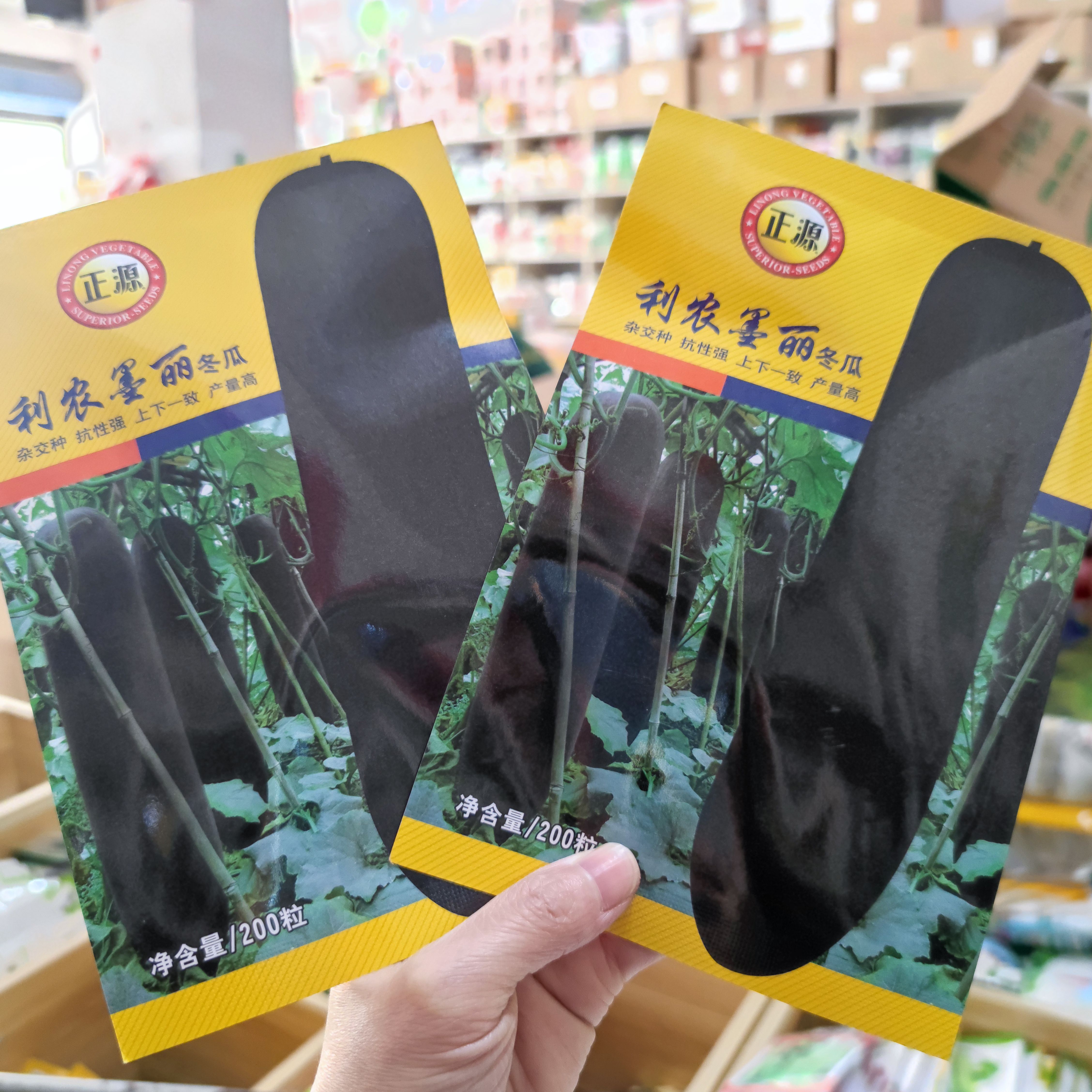 正源利農(nóng)墨麗冬瓜種子中熟黑皮冬瓜抗性強耐貯運原裝正品200粒