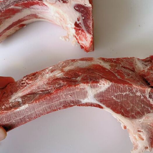 阳信县国产眼肉骨 纯干多肉肋眼骨锯段，质量保证