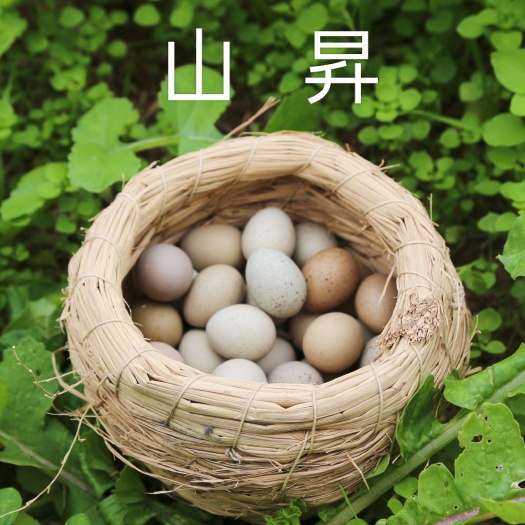 广元芦丁蛋  芦丁鸡蛋