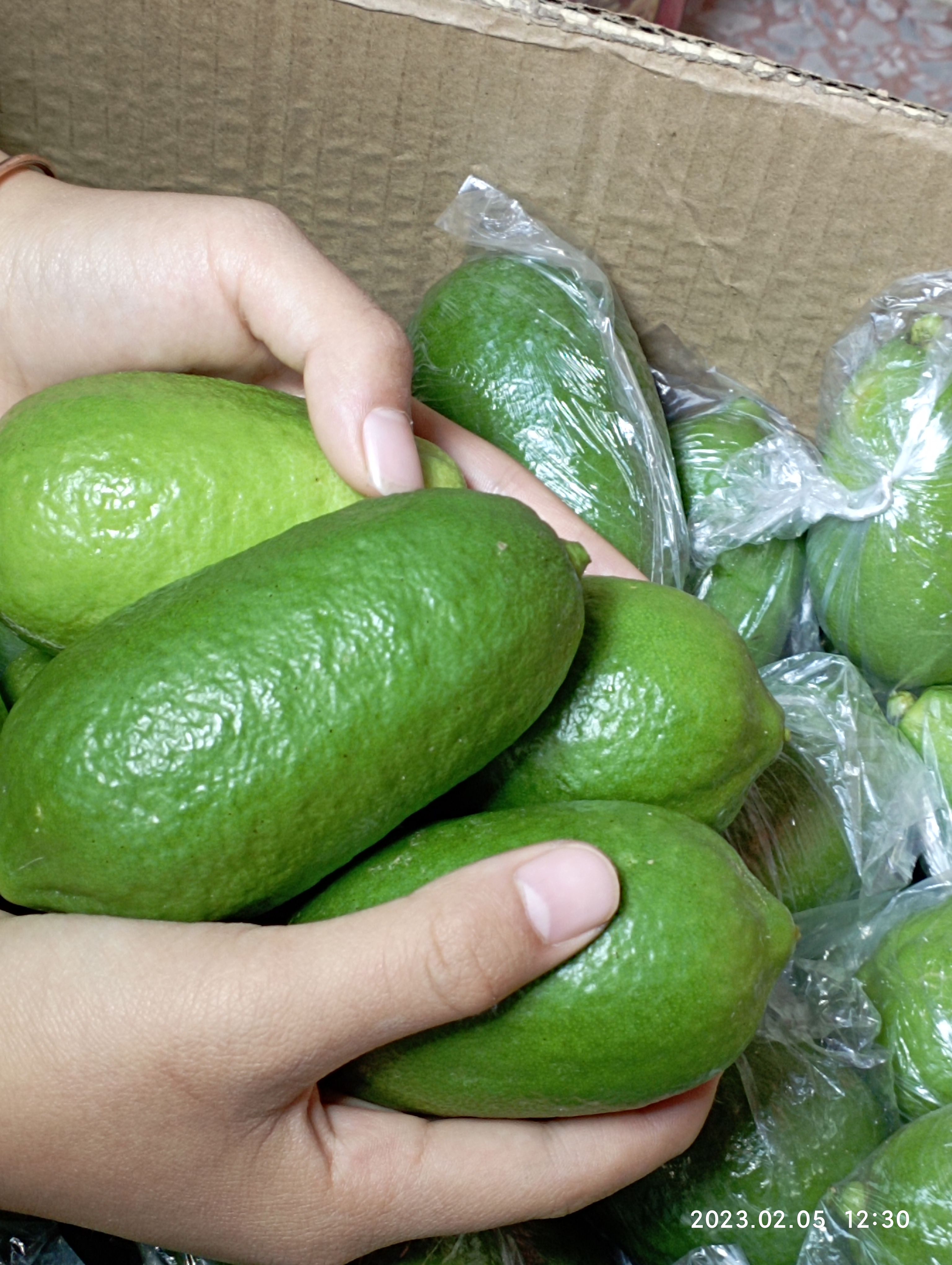 广西四季香水柠檬无籽子弹头香味浓郁皮薄多汁冷饮包邮