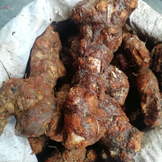 鹤山市现挖 白肉 土茯苓